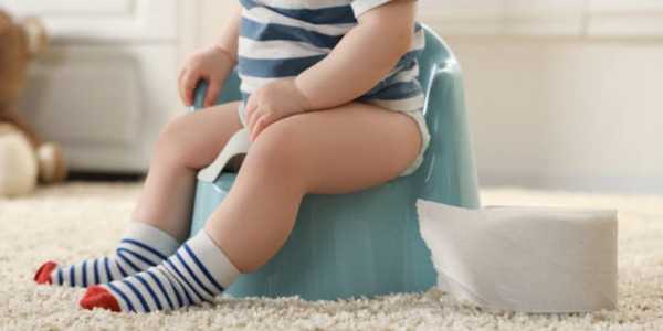 Potty Training Made Easy: A Step-By-Step Guide For Parents